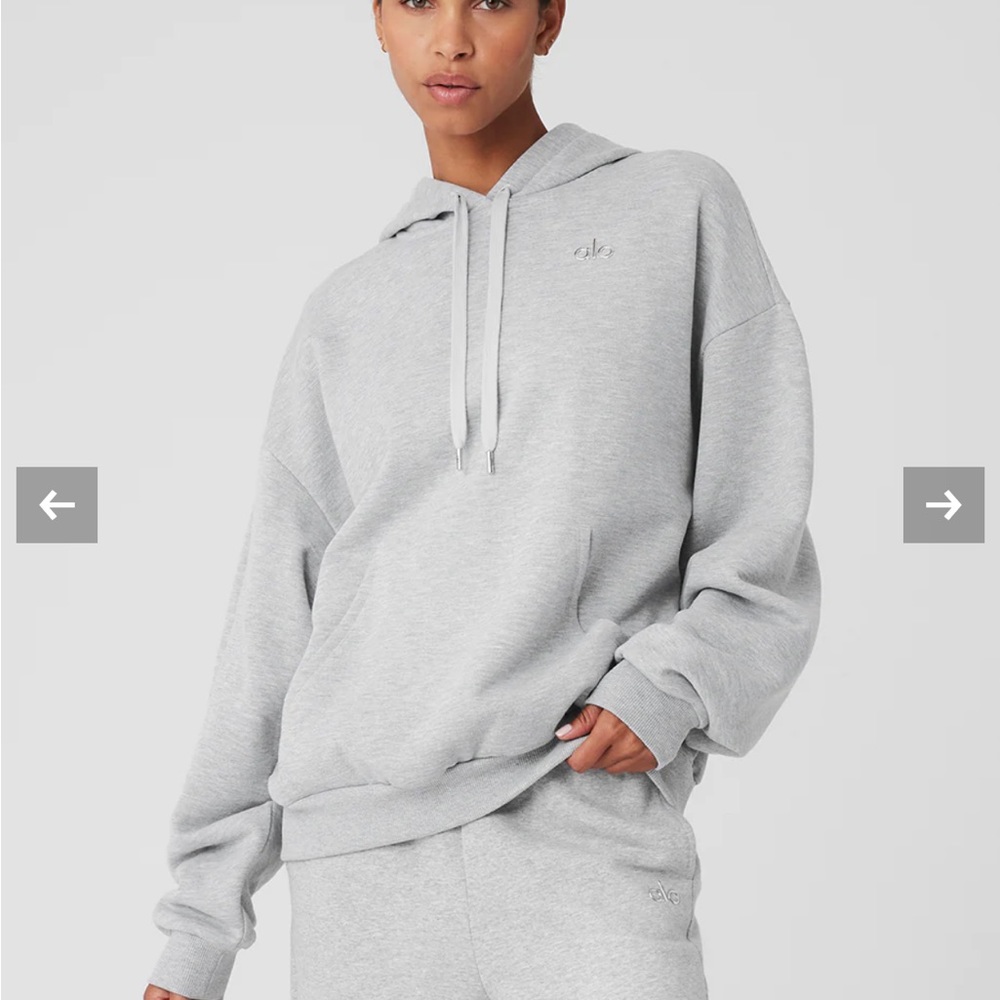 Alo Accolade Hoodie Gray NWT